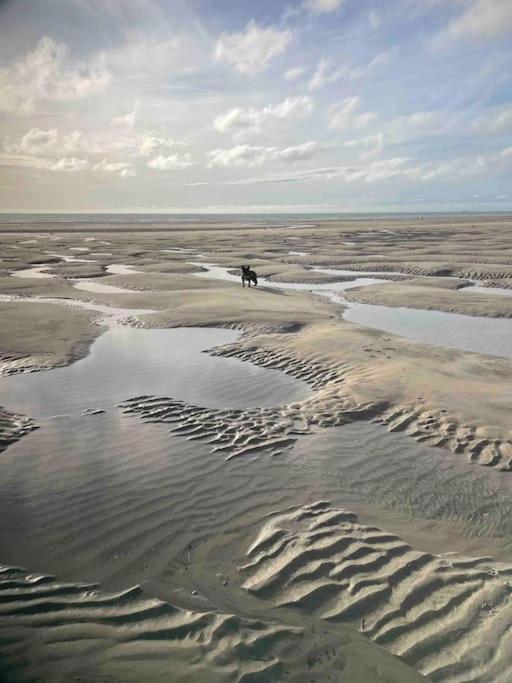 Appartement A 100M De La Plage Neufchâtel-Hardelot Exteriör bild